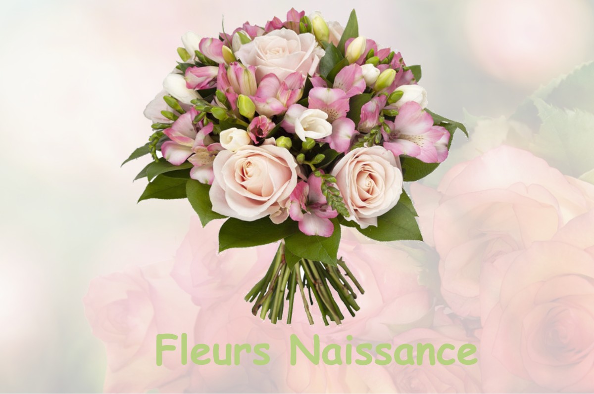 fleurs naissance CHAMP-SUR-BARSE