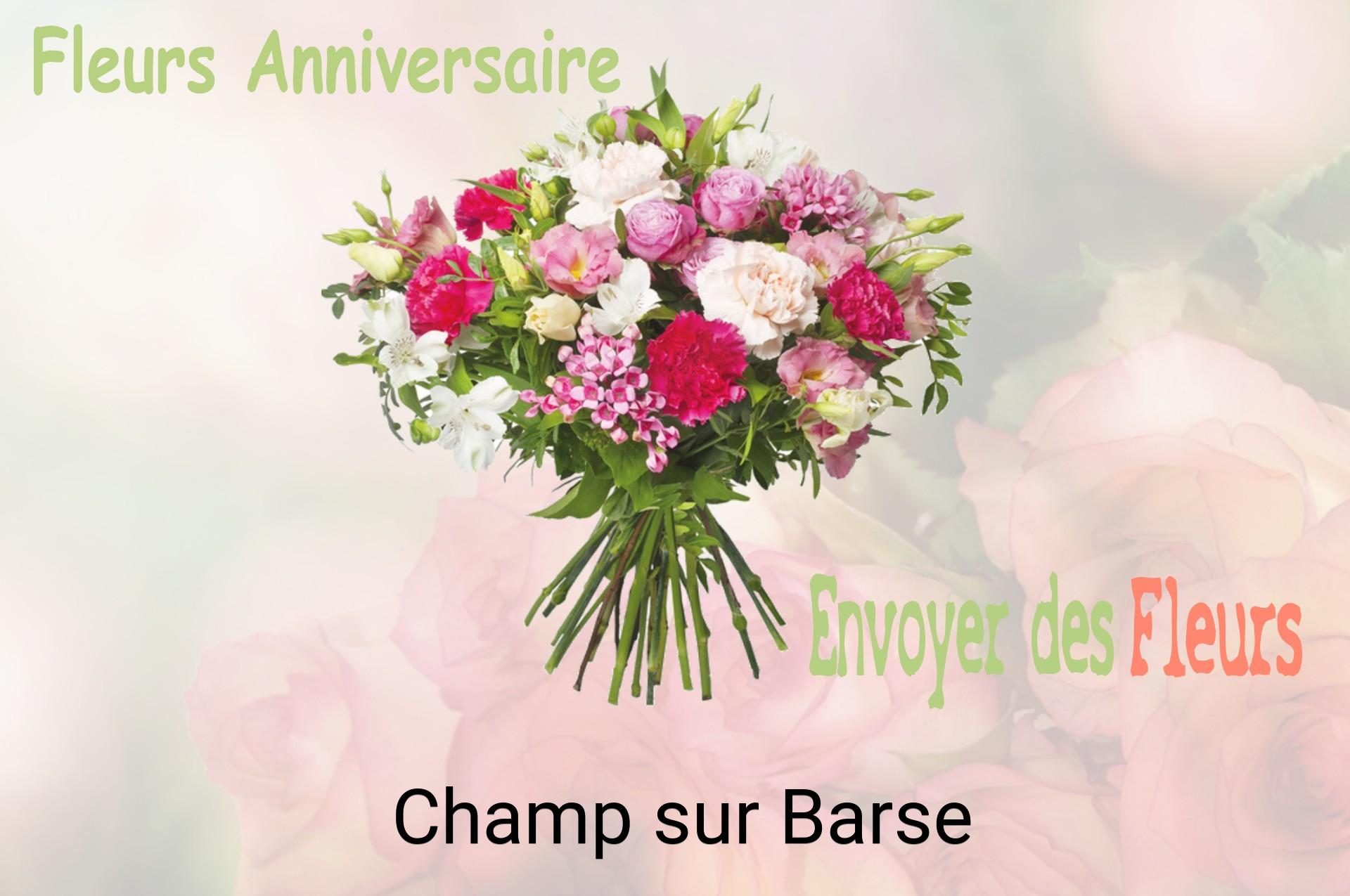 Bouquet de fleurs d’anniversaire livré à Champ-sur-Barse