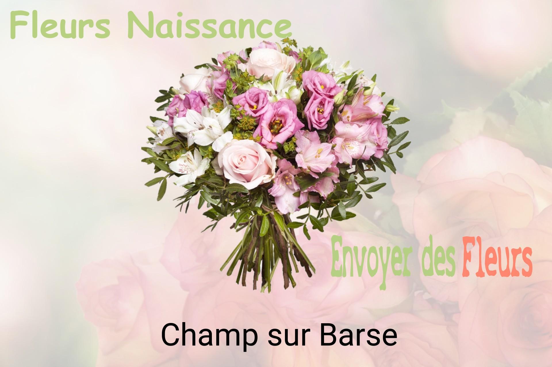 Bouquet de fleurs de naissance livré à Champ-sur-Barse
