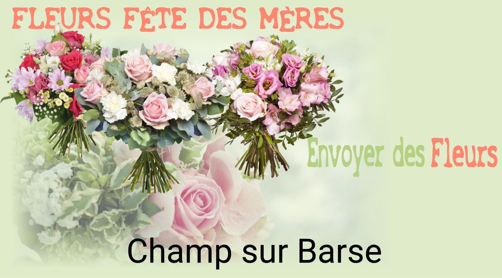 Bouquet de Fête des Mères livré à Champ-sur-Barse